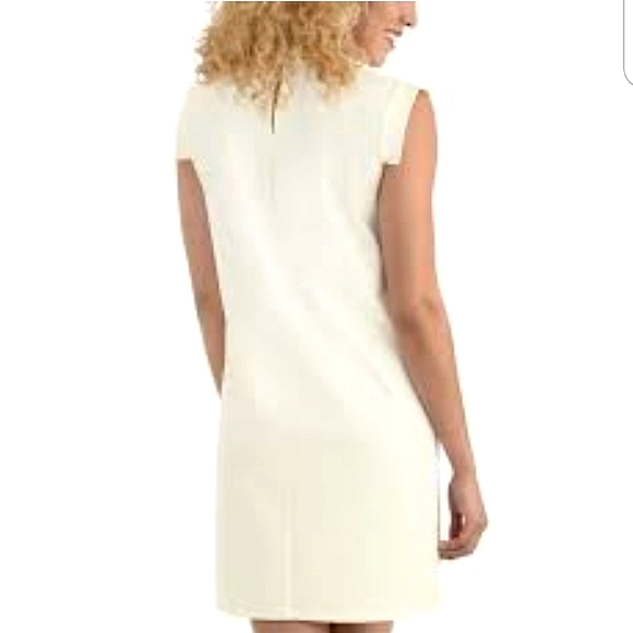 Shift Dress NWOT - Picture 2 of 5